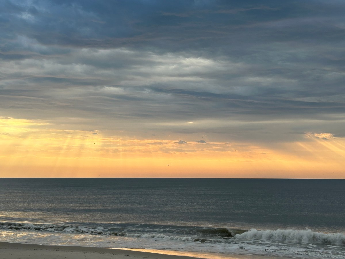 Finding Purpose: Insights from The Essential&nbsp;Classroom